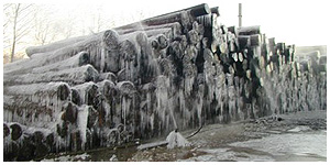 hagensieker